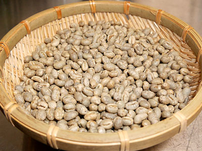 選別後のコーヒー豆